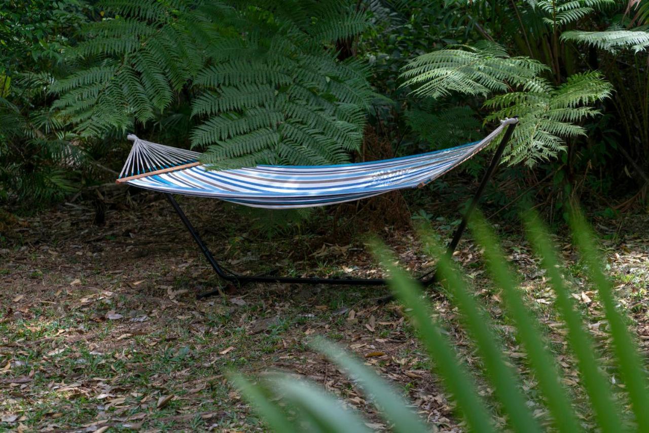 Mist At Cape Tribulation Villa ภายนอก รูปภาพ